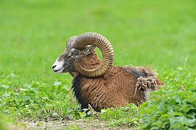 《糖豆人》联动《魔法满屋》服装表情限时开售